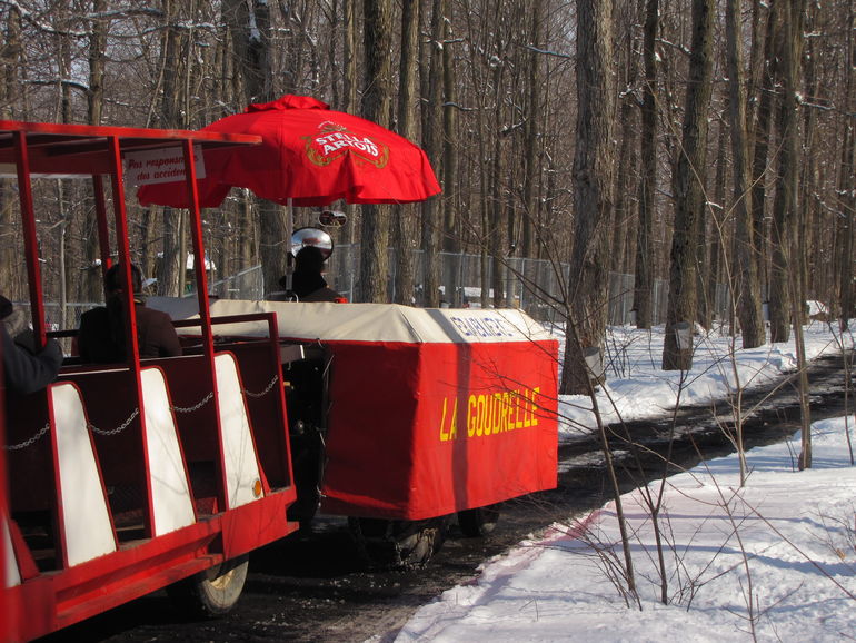 Motorized sleigh ride.