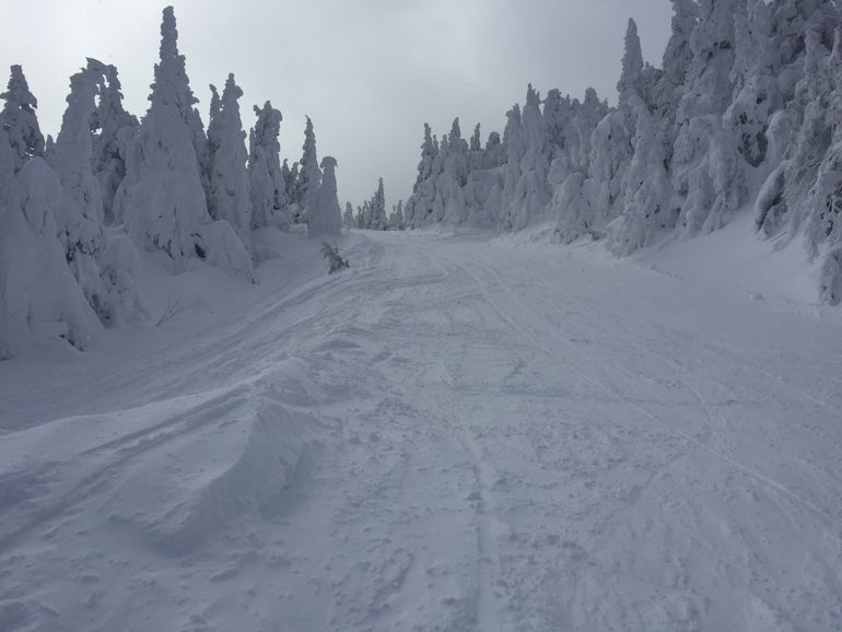 4 km trail after the heavy snow.