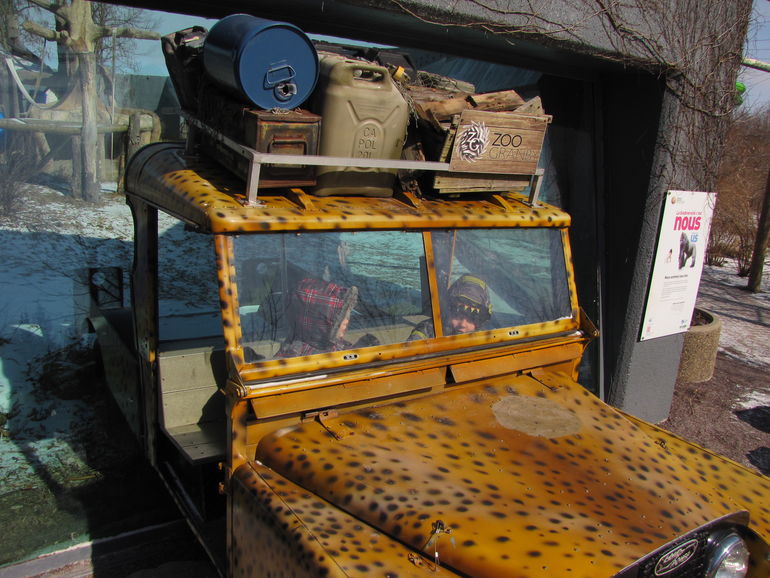 Safari car in Zoo Granby.