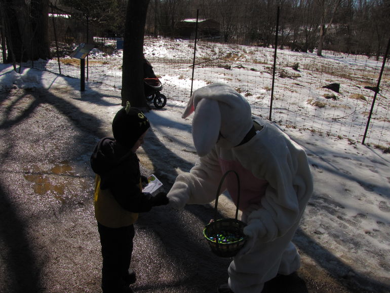 Egg hunt at Eco Museum.