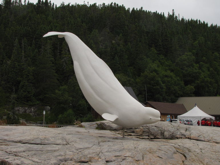 Beluga in front of the museum.