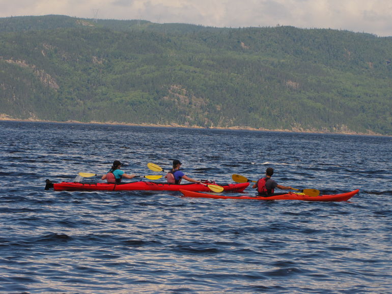 Fjord en Kayak