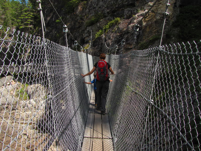 Wire bridge