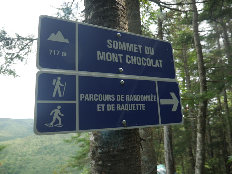 Hiking Mount Chocolate Trail in Massif du Sud Park.