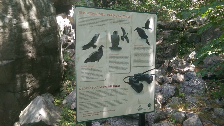 Information about the birds you can spot there.