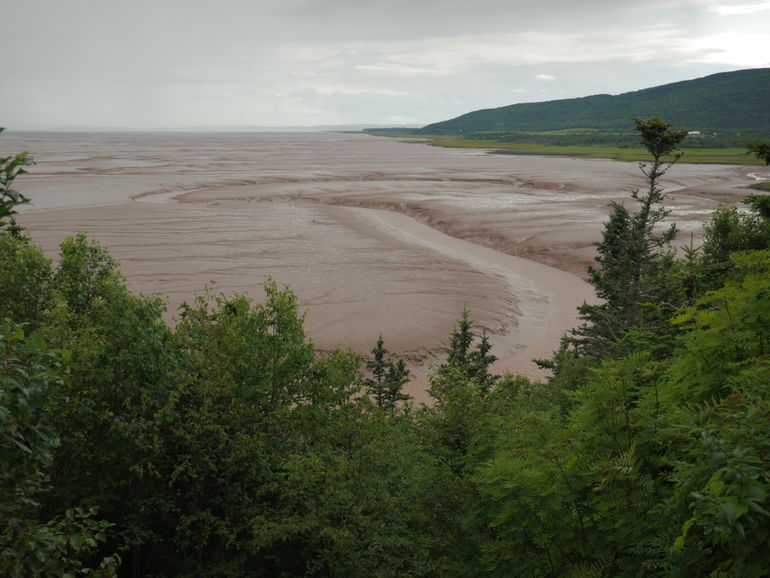 Daniels mudflats