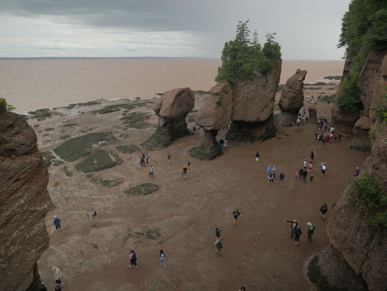 Hopewell Rocks