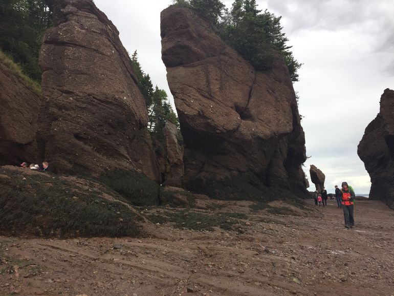 Hopewell Rocks