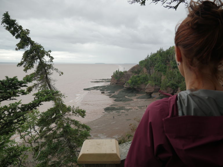 Views of the Hopewell Rocks