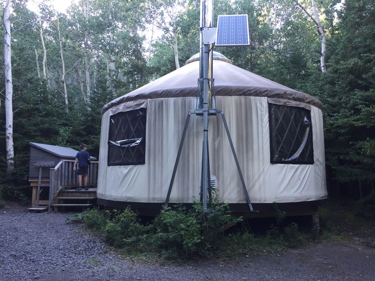 Yurt in the park