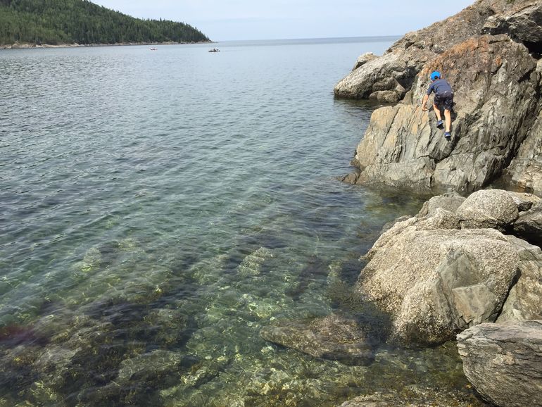 Exploring the rocky coast in the park