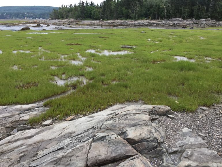 Low tide observation 