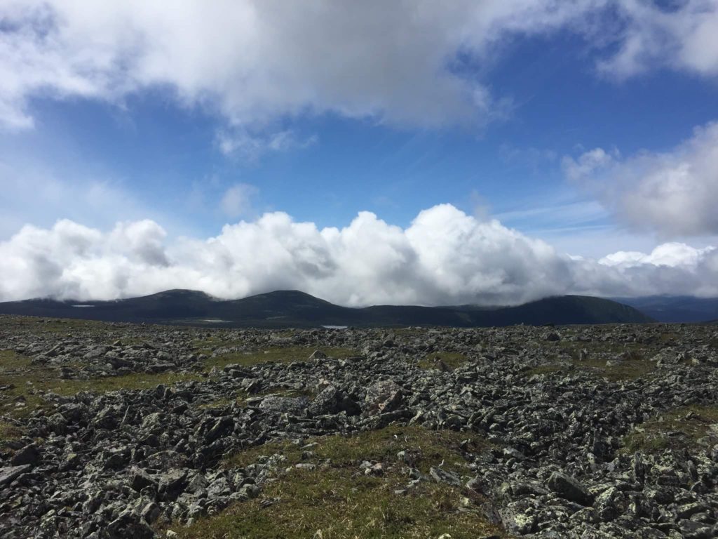 Rocky landscape