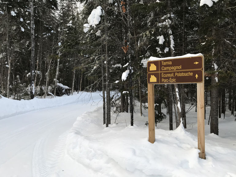 Way to the cabin