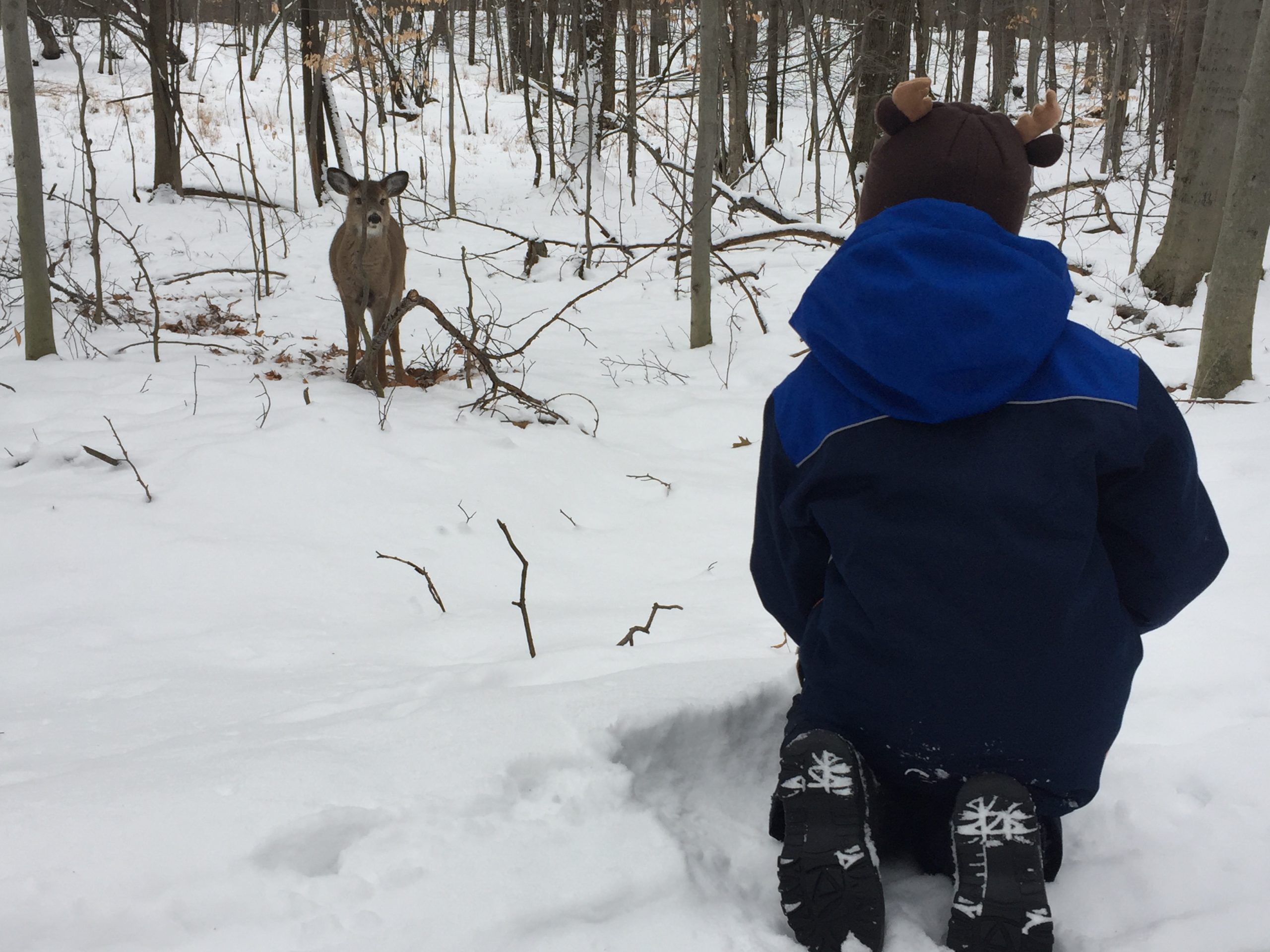 Winter hike in Mont-Saint Bruno National Park