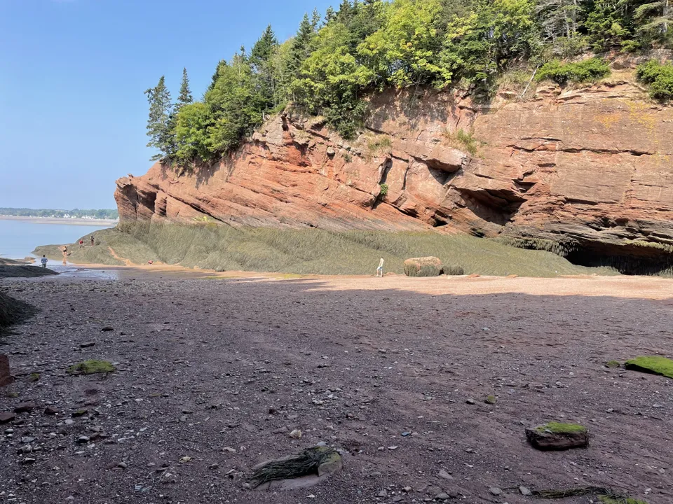 Cave in low tide