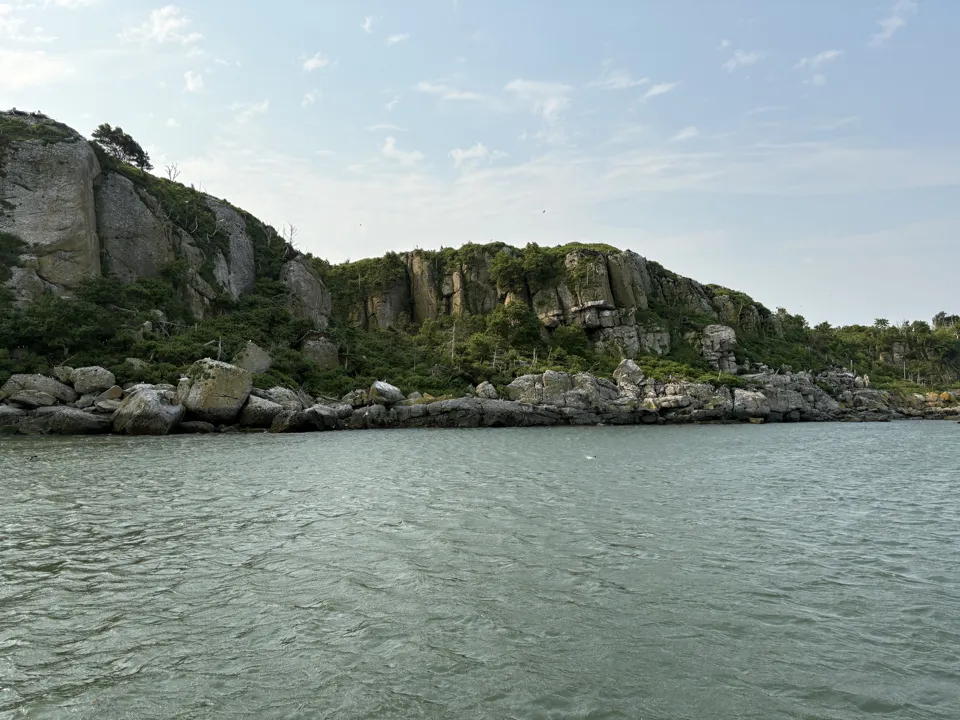 Island with penguins