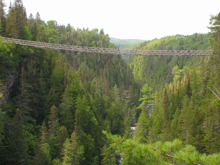 Suspended Bridge